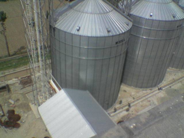 شرکت آرد البرز