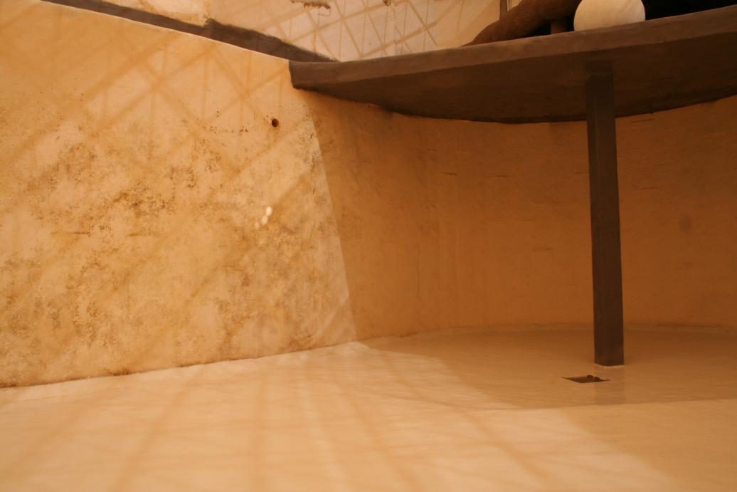 پارک دلفین-کیش